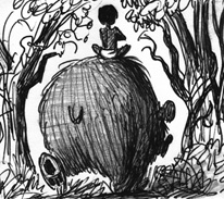 BOY AND BEAR