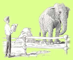 BILL PEET DRAWING AT THE ZOO